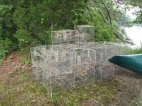 Traps with bycatch reduction devices